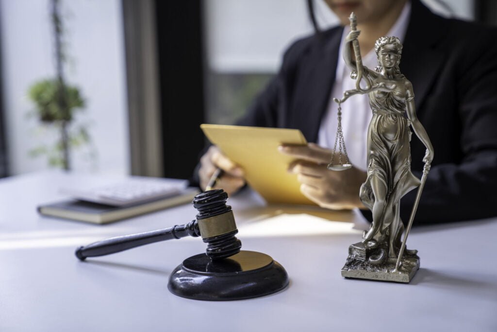 Criminal Litigation Services