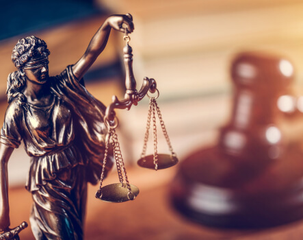 "Corporate Law Simplified: Protecting Your Business, Securing Your Future"